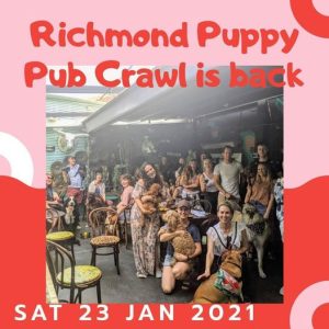 Group of people and dogs gathered for the Richmond Puppy Pub Crawl at a dog-friendly function venue.